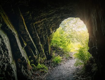 chemin menant à la Grotte de Font de Gaume