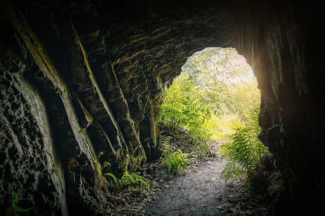 chemin menant à la Grotte de Font de Gaume